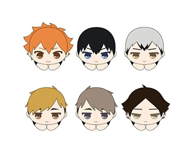 Haikyu!! Hug Character Blind Box